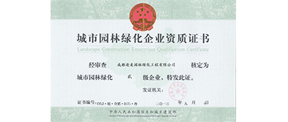 ;���@�֌����ۺ�